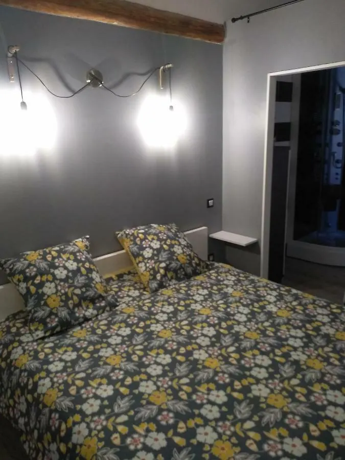 Agreable Duplex Au Centre Ville De Brioude 0*,